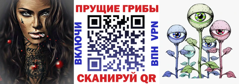 Купить  Поронайск  Галлюциногенные грибы Magic Shrooms 